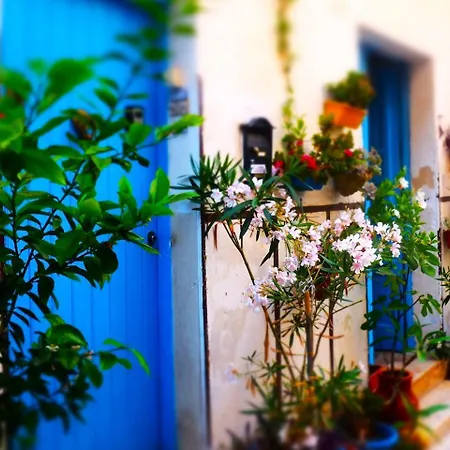 Alcasart Alcamo