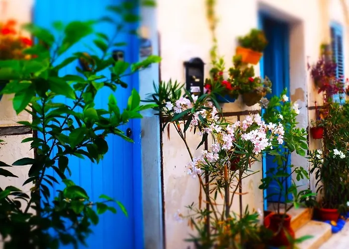 Alcasart Alcamo