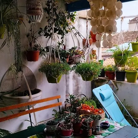 Alcasart